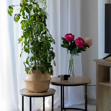 Exceptional In By Renters * Mielno